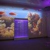 Проекционный дизайн "Виртуальная реальность" базовый комплект 500 анимаций - «globural.ru» - Владимир