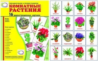 Демонстрационные карточки "Комнатные растения" - «globural.ru» - Владимир