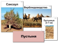 Модель-аппликация "Природные зоны России" - «globural.ru» - Владимир