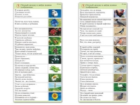Комплект карточек (10) "Обучающий калейдоскоп. Природа" - «globural.ru» - Владимир