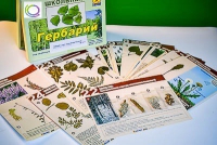 Гербарий к курсу основ общей биологии - «globural.ru» - Владимир