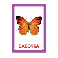 Логопедка "Ч" (логопедические карточки) - «globural.ru» - Владимир