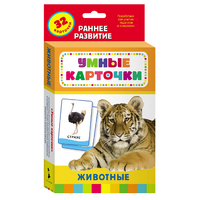 Карточки Домана "Животные" - «globural.ru» - Владимир