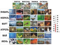 Фенологические наблюдения - «globural.ru» - Владимир