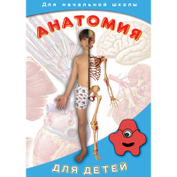 DVD  Анатомия для детей - «globural.ru» - Владимир