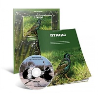 Электронное наглядное пособие «Птицы» - «globural.ru» - Владимир