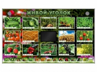 Комплект оборудования "Живой уголок" (растения) - «globural.ru» - Владимир