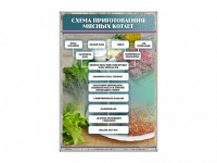 Стенд "Схема приготовления мясных котлет" - «globural.ru» - Владимир
