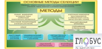 Стенд "Методы селекции и биотехнологии" - «globural.ru» - Владимир
