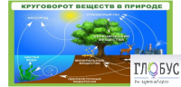 Стенд "Круговорот веществ" - «globural.ru» - Владимир