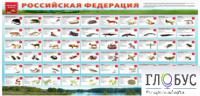 Стенд "Красная книга РФ" - «globural.ru» - Владимир