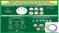 Стенд "Формы размножения организмов" - «globural.ru» - Владимир