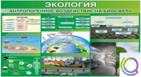 Стенд "Экология. Антропогенное воздействие на биосферу" - «globural.ru» - Владимир