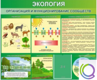 Стенд "Экология. Организация и функционирование сообществ" - «globural.ru» - Владимир