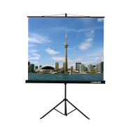 Проекционный экран на штативе Lumien Eco View (LEV-100105) 160x160 см - «globural.ru» - Владимир
