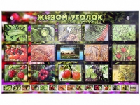 Комплект оборудования "Живой уголок" (растения) с тифлопереводом и сурдокомментариями - «globural.ru» - Владимир