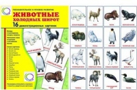 Демонстрационные карточки "Животные холодных широт" - «globural.ru» - Владимир
