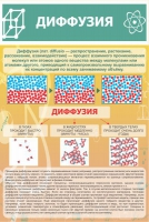 Стенд "Диффузия" - «globural.ru» - Владимир
