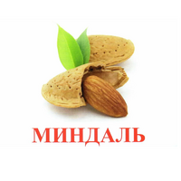 Карточки Домана "Орехи-Ягоды-2" - «globural.ru» - Владимир