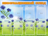 Стенд информационный с 7 карманами - «globural.ru» - Владимир