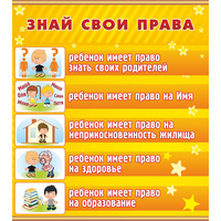 Стенд "Знай свои права" - «globural.ru» - Владимир