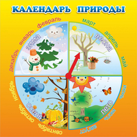 Стенд "Календарь природы" 0.5x0.5 - «globural.ru» - Владимир
