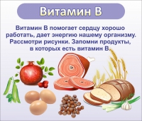 Стенд "Витамин В" - «globural.ru» - Владимир
