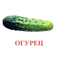 Карточки Домана "Овощи-Зелень-1" - «globural.ru» - Владимир