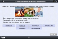 Интерактивные курсы. Русский язык 6 класс. Базовый - «globural.ru» - Владимир
