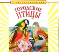 CD "Аудиоэнциклопедия. Городские птицы" - «globural.ru» - Владимир