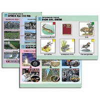 Комплект таблиц для  начальной школы "Окружающий мир. Экология" - «globural.ru» - Владимир