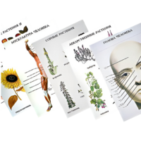 Таблицы по природоведению 1-3 класс - «globural.ru» - Владимир