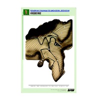 Рельефная таблица "Археоптерикс" (формат А1, матовое ламинир.) - «globural.ru» - Владимир