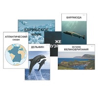Модель-аппликация "Океаны. Знакомство" (ламинированная) - «globural.ru» - Владимир