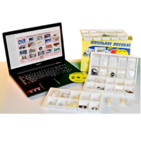 Коллекция натурально-интерактивная "Пластмассы" - «globural.ru» - Владимир