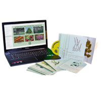 Гербарий натурально-интерактивный "Лекарственные растения" - «globural.ru» - Владимир