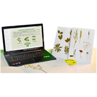 Гербарий натурально-интерактивный "Морфология растений" - «globural.ru» - Владимир