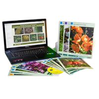 Гербарий натурально-интерактивный "Основные группы растений. Грибы. Лишайники" - «globural.ru» - Владимир