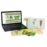 Гербарий натурально-интерактивный "Растительные сообщества. Лес" - «globural.ru» - Владимир