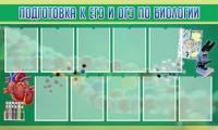 Стенд "Подготовка к ЕГЭ и ОГЭ по биологии" (вариант 2) - «globural.ru» - Владимир