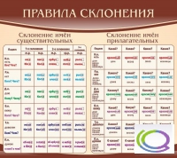 Стенд "Правила склонения" - «globural.ru» - Владимир