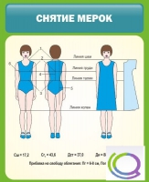 Стенд "Снятие мерок" (вариант 1) - «globural.ru» - Владимир