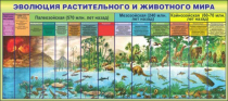 Стенд "Эволюция растительного и животного мира" - «globural.ru» - Владимир