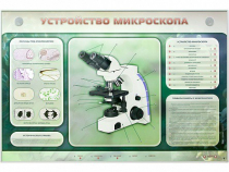Электрифицированный стенд "Устройство микроскопа и правила работы c ним" - «globural.ru» - Владимир