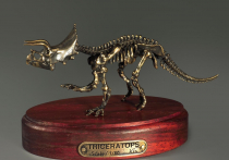 Модель скелета динозавра Triceratops - «globural.ru» - Владимир