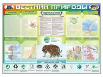 Стенд-уголок "Вестник природы" (вариант 1) - «globural.ru» - Владимир
