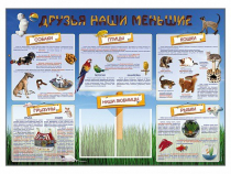 Стенд-уголок "Друзья наши меньшие" - «globural.ru» - Владимир