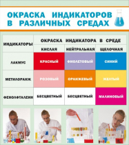 Стенд "Окраска индикаторов в различных средах" - «globural.ru» - Владимир