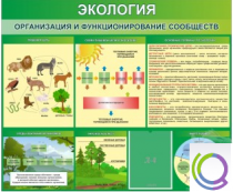 Стенд "Экология. Организация и функционирование сообществ" - «globural.ru» - Владимир