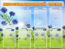 Стенд информационный с 7 карманами - «globural.ru» - Владимир